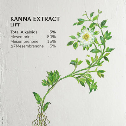 Ohana Kanna Extract Powder